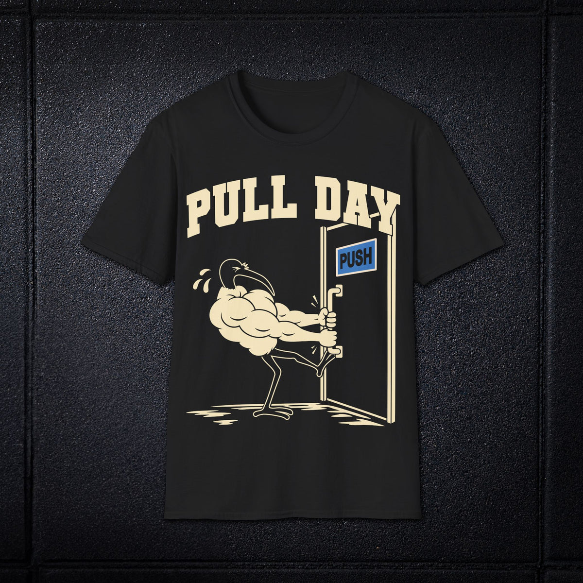 Pull Day Gym Shirt